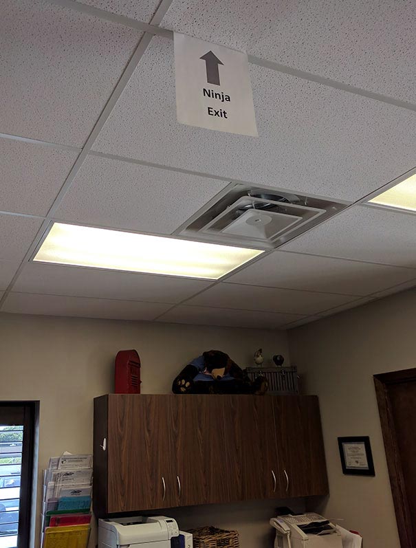 25 весёлых стоматологов, доказавших, что у них тоже есть чувство юмора стоматологи приколы,приколы со стоматологами, стоматологи смешное, смешные ситории стоматологи