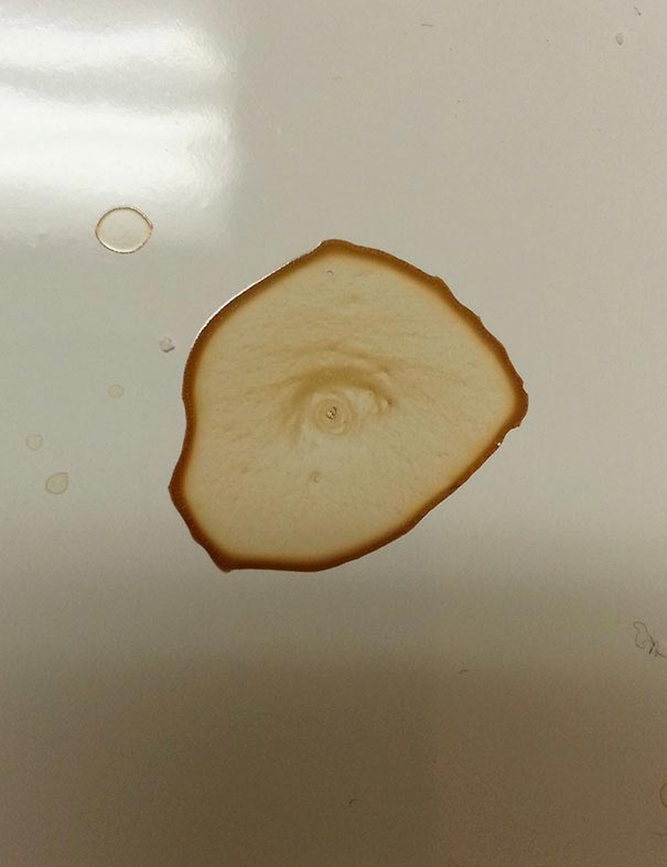 пятна от жидкости, пятно похожее на, пятна похожие на нечто другое