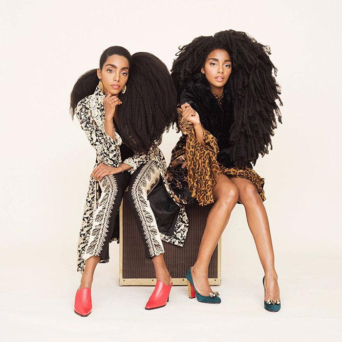 Сестры-близнецы и их суперобъемные волосы прославившие их на весь мир Киприана Куанн, TK Wonder, Cipriana Quann, супер объемные волосы модели, Urban Bush Babes