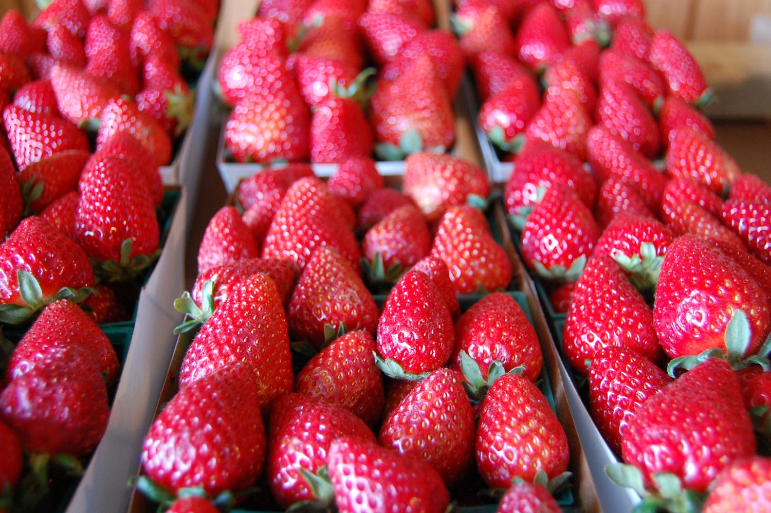 факты о еде, неожиданные факты о еде