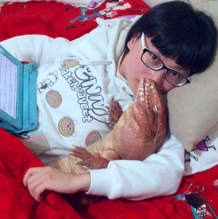 ящерица размером с собаку, ящерица MacGyver