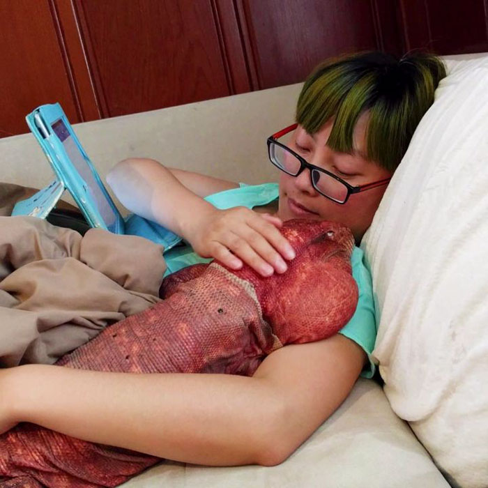 ящерица размером с собаку, ящерица MacGyver