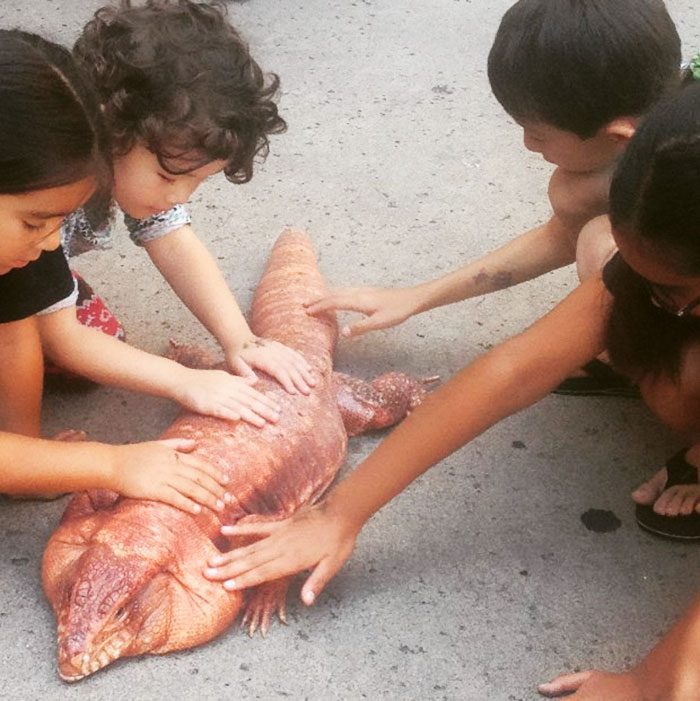 ящерица размером с собаку, ящерица MacGyver