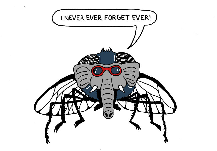 Американец нарисовал известные русские поговорки, русские поговорки глазами иностранцев, Натан Джеймс