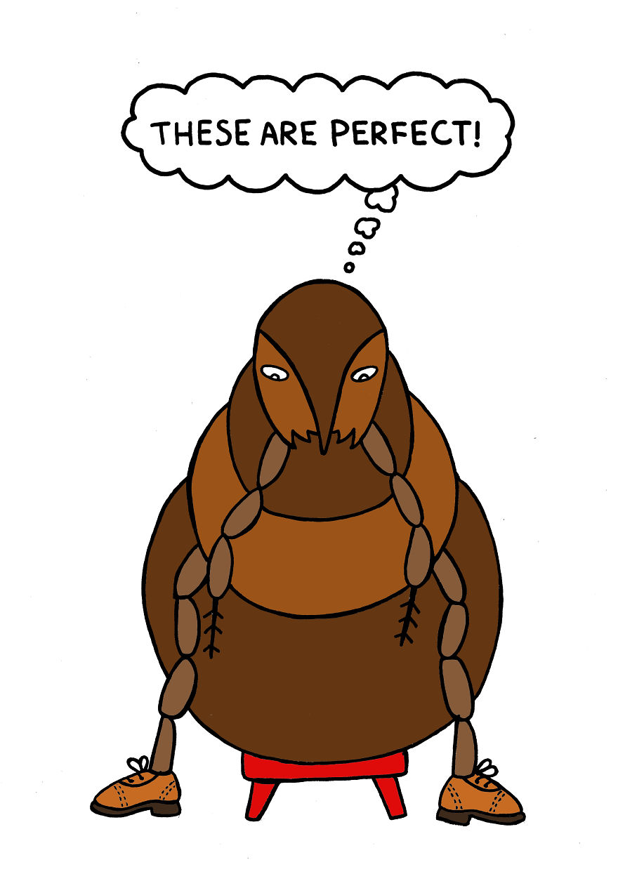 Американец нарисовал известные русские поговорки, русские поговорки глазами иностранцев, Натан Джеймс