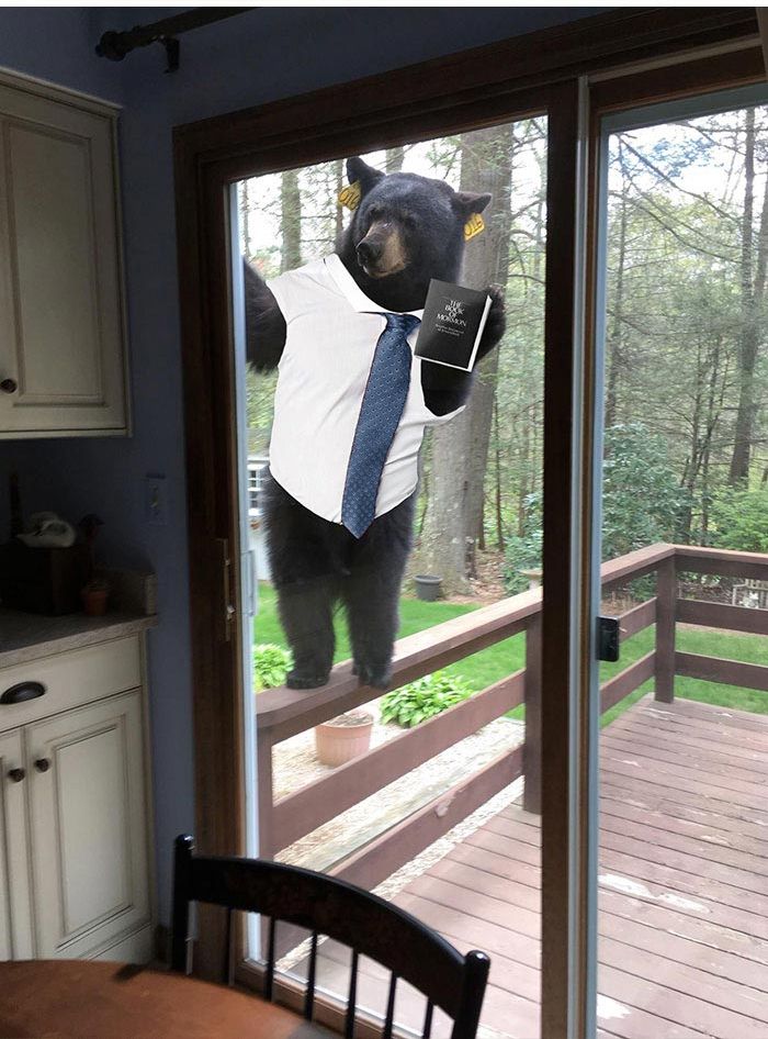 Победители битв фотошоперов, самые смешные битвы фотошоперов, лучшие фотожабы битвы фотошоперов