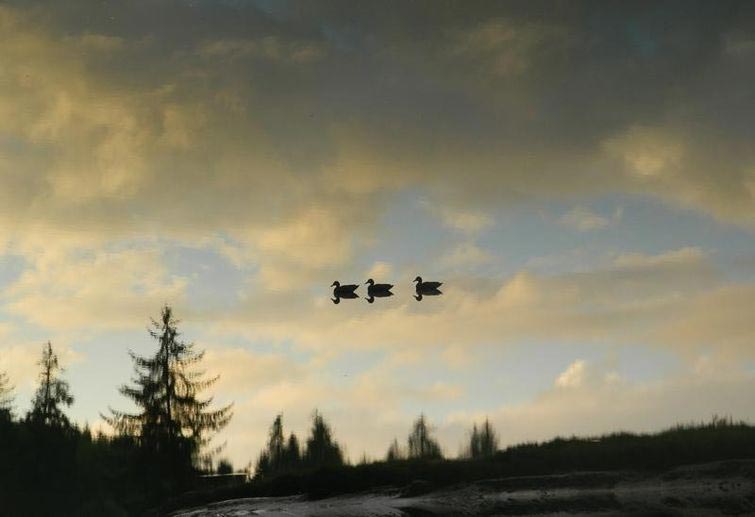 фотографии в нужный момент, фотографии с оптическими иллюзиями