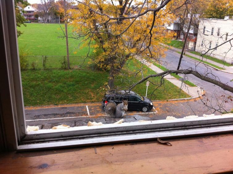 фотографии в нужный момент, фотографии с оптическими иллюзиями