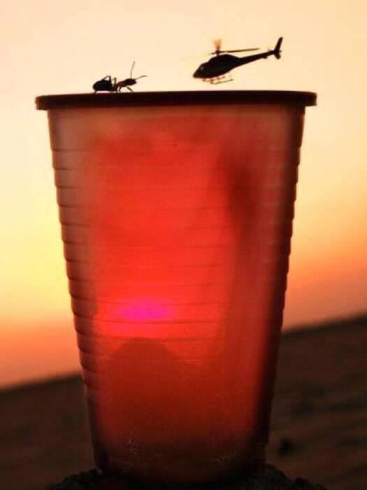 фотографии в нужный момент, фотографии с оптическими иллюзиями