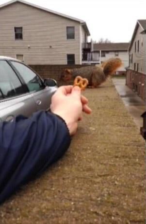 фотографии в нужный момент, фотографии с оптическими иллюзиями