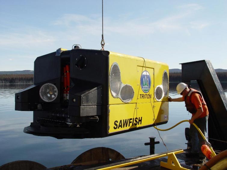 необычные профессии, странные профессии 