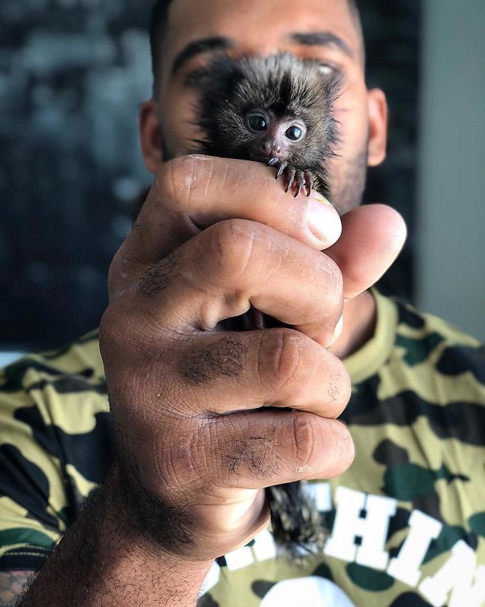 Майк Холстон, реальный Тарзан Майк Холстон