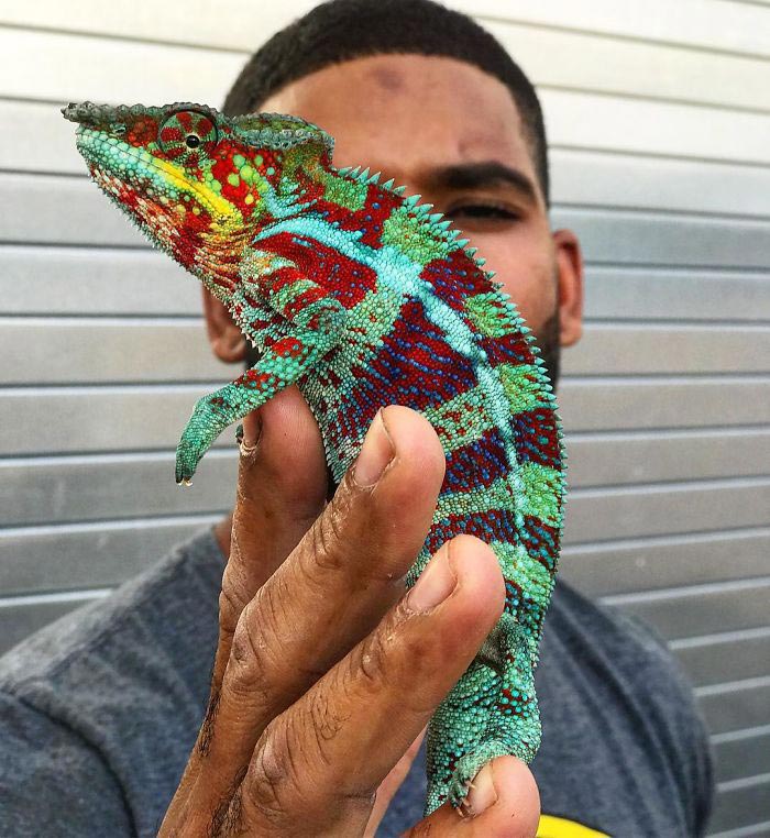 Майк Холстон, реальный Тарзан Майк Холстон