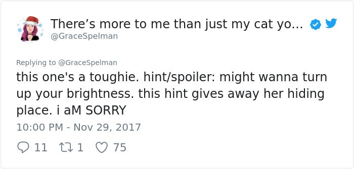 Никто не мог найти кошку на этом фото, но всем очень понравилось искать найти кошку на фото, кошка Пироги, найти где спряталась кошка, где спряталась кошка