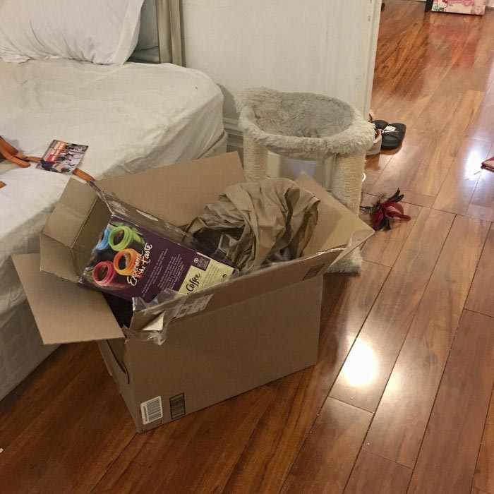 Никто не мог найти кошку на этом фото, но всем очень понравилось искать найти кошку на фото, кошка Пироги, найти где спряталась кошка, где спряталась кошка