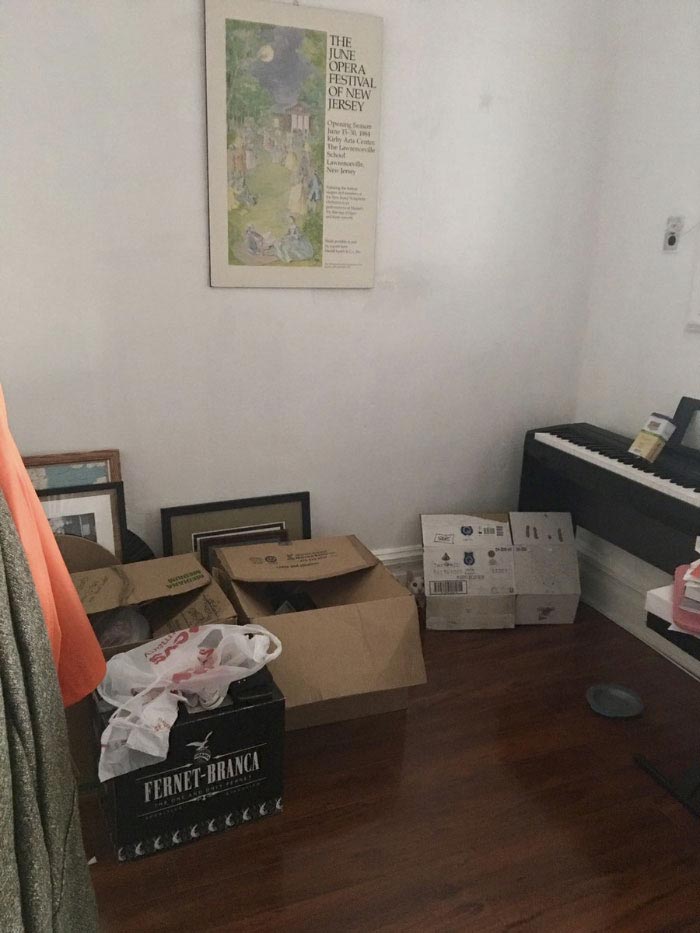 Никто не мог найти кошку на этом фото, но всем очень понравилось искать найти кошку на фото, кошка Пироги, найти где спряталась кошка, где спряталась кошка