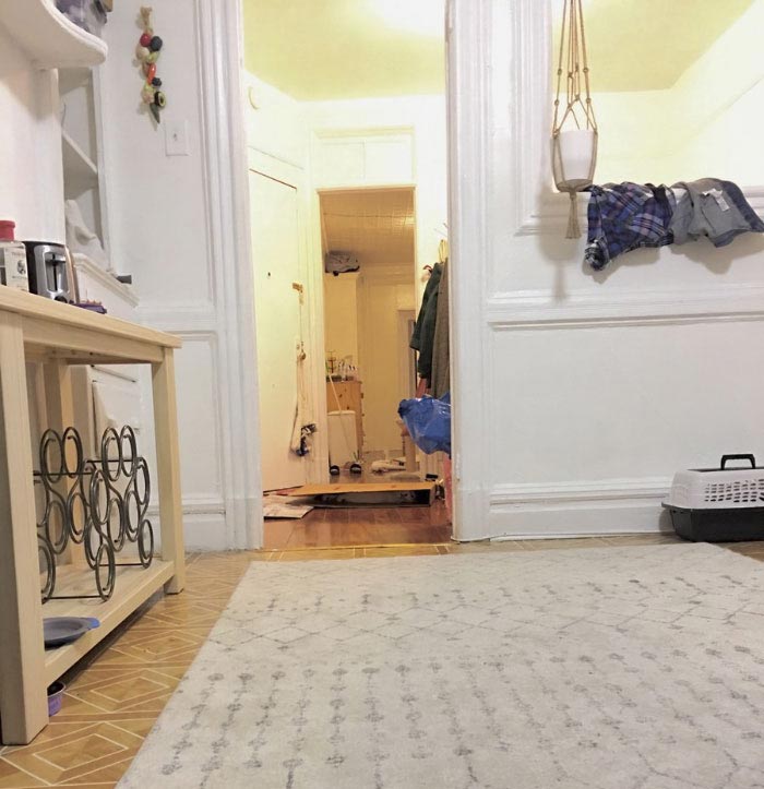 Никто не мог найти кошку на этом фото, но всем очень понравилось искать найти кошку на фото, кошка Пироги, найти где спряталась кошка, где спряталась кошка