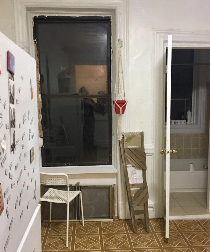 Никто не мог найти кошку на этом фото, но всем очень понравилось искать найти кошку на фото, кошка Пироги, найти где спряталась кошка, где спряталась кошка