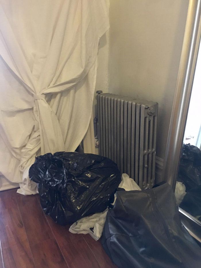 Никто не мог найти кошку на этом фото, но всем очень понравилось искать найти кошку на фото, кошка Пироги, найти где спряталась кошка, где спряталась кошка