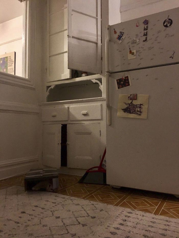 Никто не мог найти кошку на этом фото, но всем очень понравилось искать найти кошку на фото, кошка Пироги, найти где спряталась кошка, где спряталась кошка