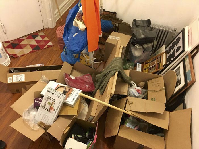 Никто не мог найти кошку на этом фото, но всем очень понравилось искать найти кошку на фото, кошка Пироги, найти где спряталась кошка, где спряталась кошка