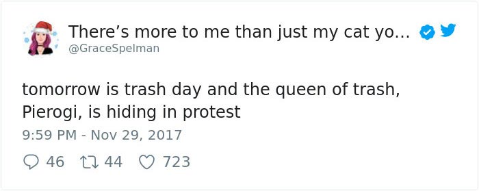 Никто не мог найти кошку на этом фото, но всем очень понравилось искать найти кошку на фото, кошка Пироги, найти где спряталась кошка, где спряталась кошка