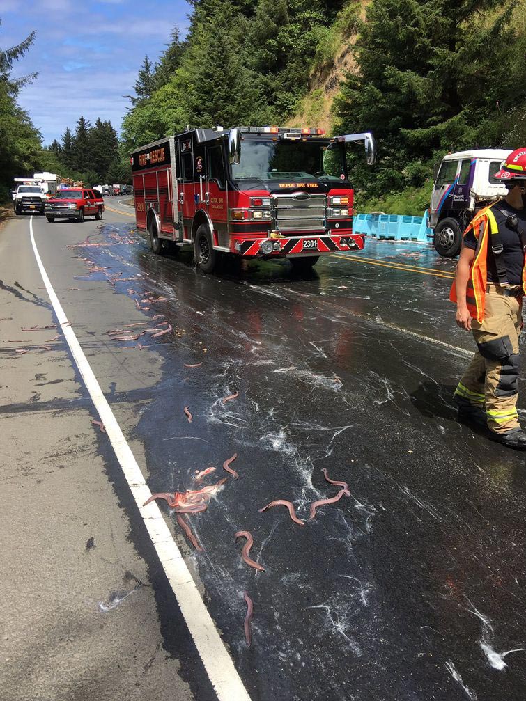 грузовик с угрями перевернулся на дороге, авария грузовик с угрями, грузовик с миксинами