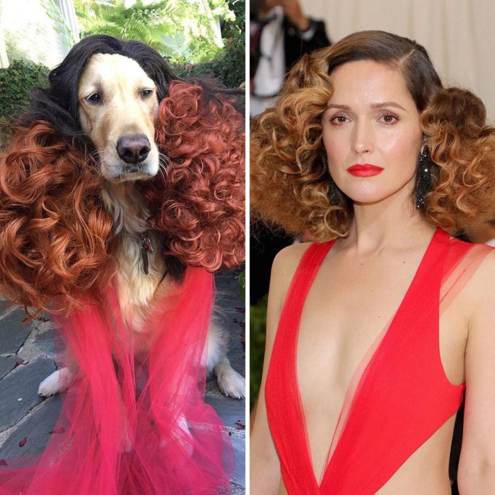 Том Ленк воссоздаёт образы знаменитостей, Tom Lenk? Звезда ‘Баффи’ Том Ленк и его комичные пародии