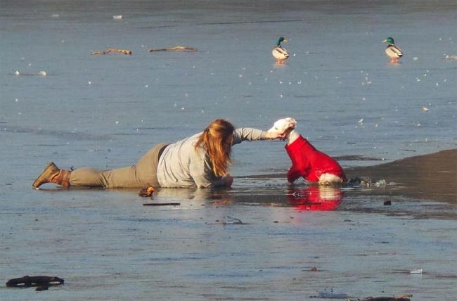 собака провалилась под лёд, спасение собаки провалившейся под лёд
