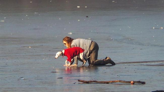 собака провалилась под лёд, спасение собаки провалившейся под лёд