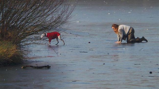 собака провалилась под лёд, спасение собаки провалившейся под лёд