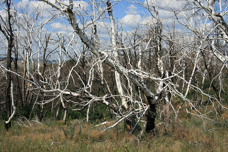 жуткие места России, самые страшные места России 