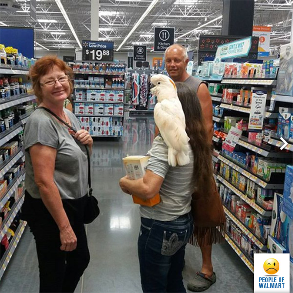 people of walmart, странные американцы, наряды посетителей американских супермаркетов
