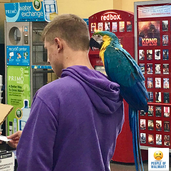 people of walmart, странные американцы, наряды посетителей американских супермаркетов