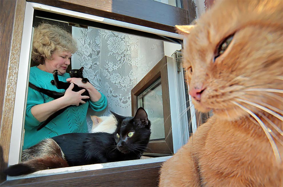 фотографии России Александр Петросян, странная Россия, 