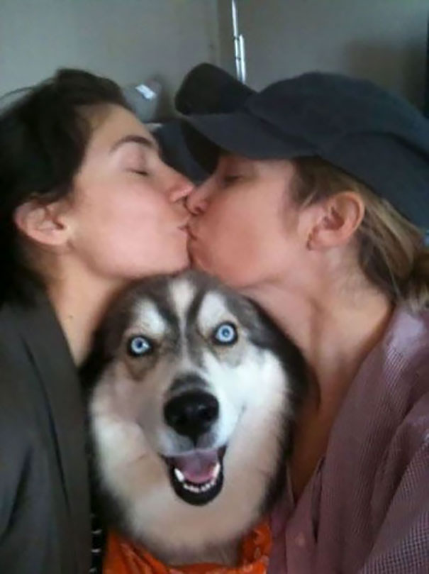 фотобомбы, собаки испортившие фото