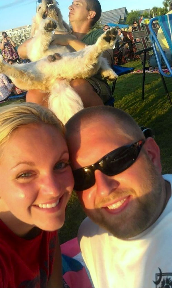 фотобомбы, собаки испортившие фото