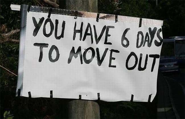 жестокий розыгрыш на телефонных столбах , Предложение руки и сердца на телефонных столбах 