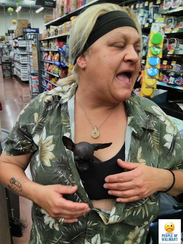 people of walmart, странные американцы, наряды посетителей американских супермаркетов