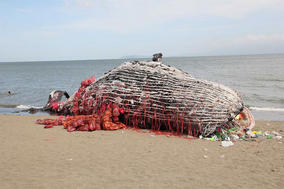 скульптура мёртвого кита, скульптура мёртвого кита из пластика, скульптура мёртвого кита из мусора