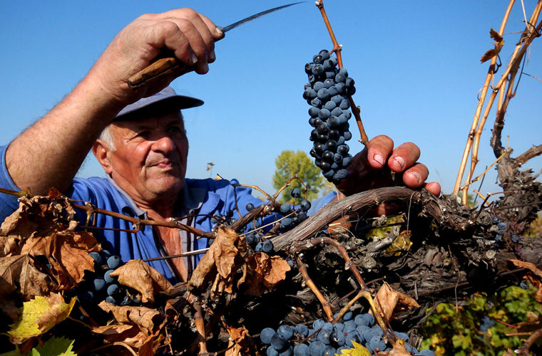 Национальные табу или чего нельзя делать в Болгарии чего нельзя делать в Болгарии, запреты Болгарии