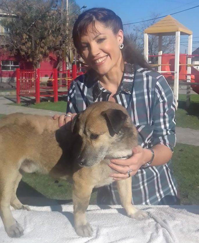 собака в гудроне, собака в смоле