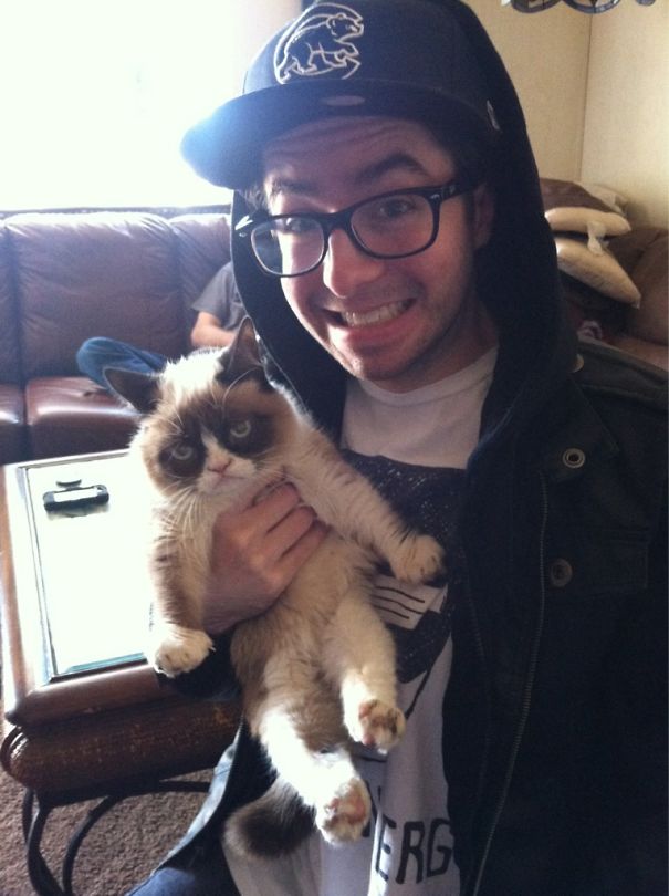 кошки не хотят делать селфи, кошки не хотят фотографироваться