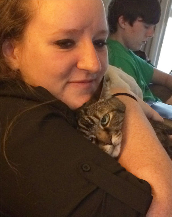 кошки не хотят делать селфи, кошки не хотят фотографироваться