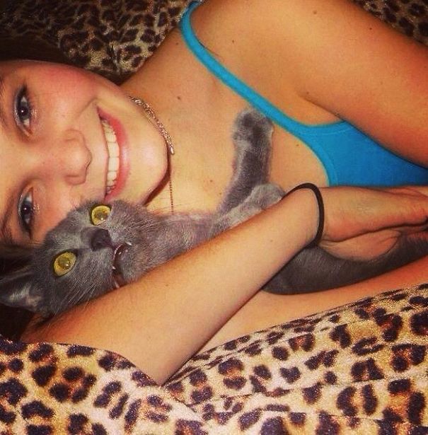 кошки не хотят делать селфи, кошки не хотят фотографироваться