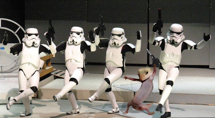 смешное геккон, фотогеничный геккон, геккон битва фотошоперов