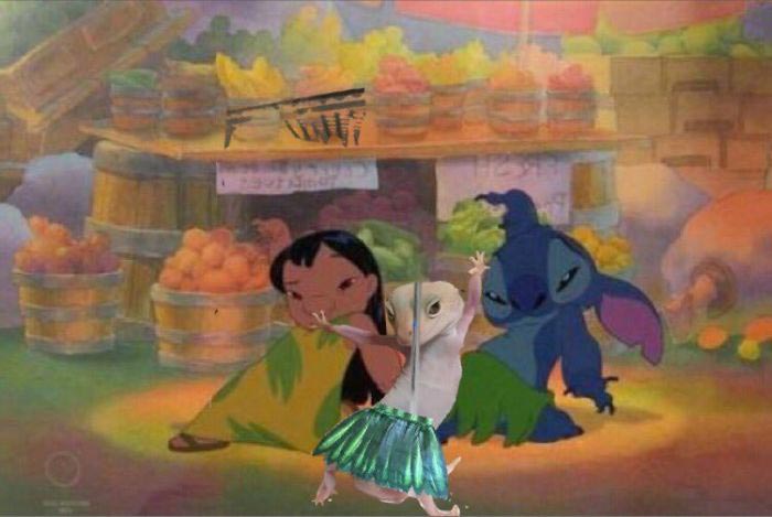 смешное геккон, фотогеничный геккон, геккон битва фотошоперов