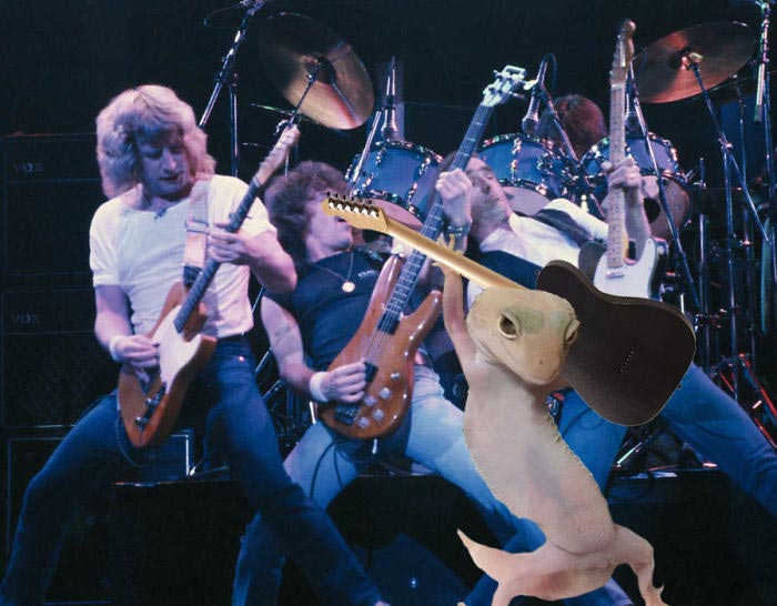 смешное геккон, фотогеничный геккон, геккон битва фотошоперов