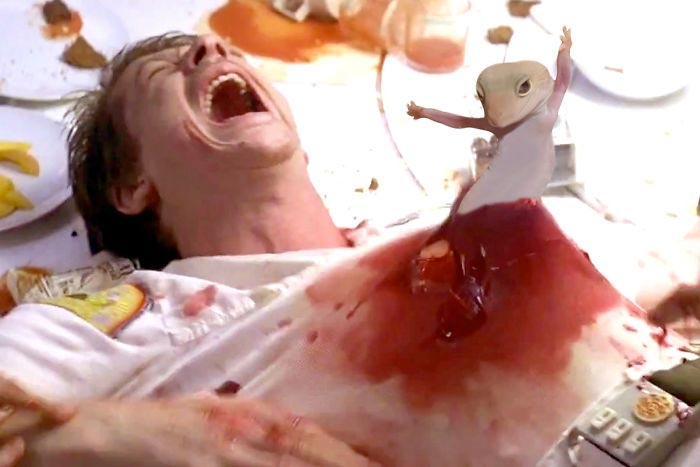 смешное геккон, фотогеничный геккон, геккон битва фотошоперов