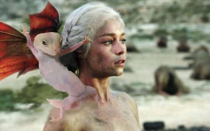 смешное геккон, фотогеничный геккон, геккон битва фотошоперов